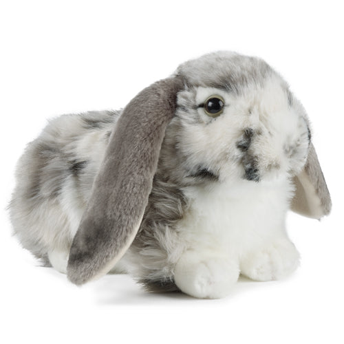 Living Nature Grey Dutch Lop Ear