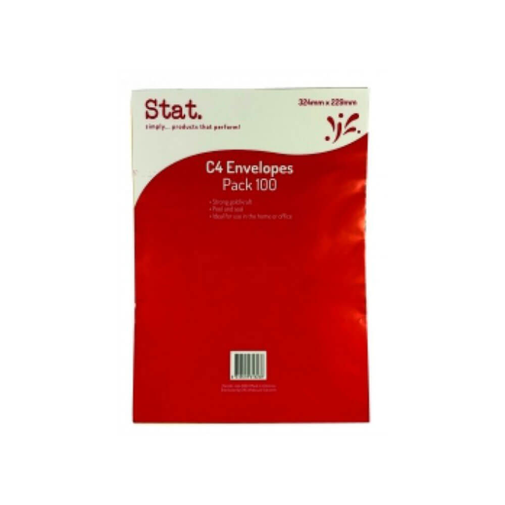 Stat Kraft Peel&Seal Envelope(100pk)
