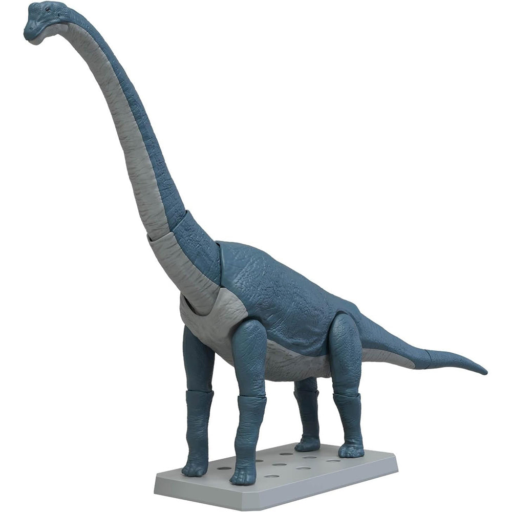 Plannosaurus Brachiosaurus Model