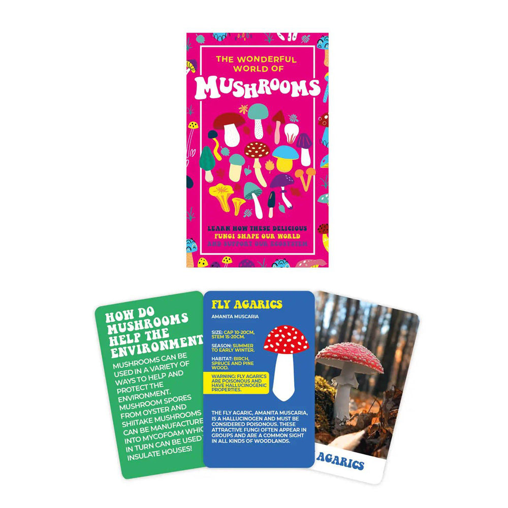 The Wonderful World of Mushrooms